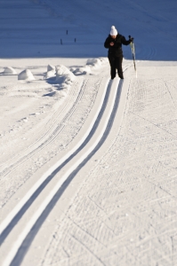 cross-country-ski-tracks-1-1376769-m